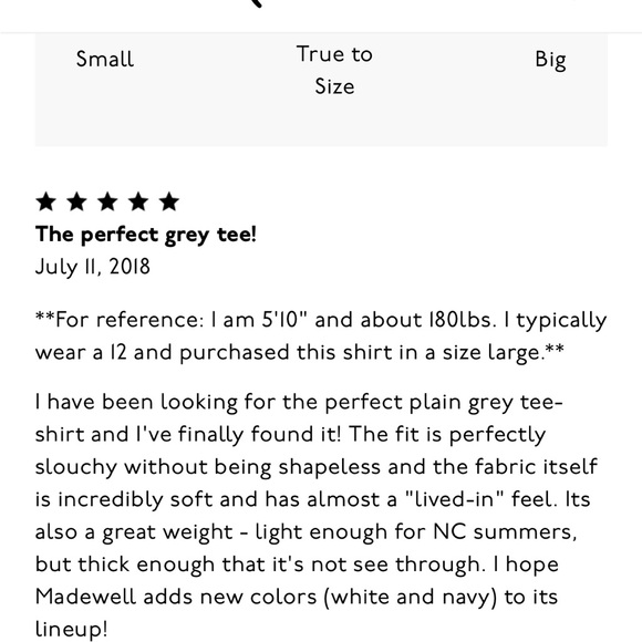 Madewell Triblend Ex-Boyfriend Tee in Grey -NWT - Picture 10 of 10